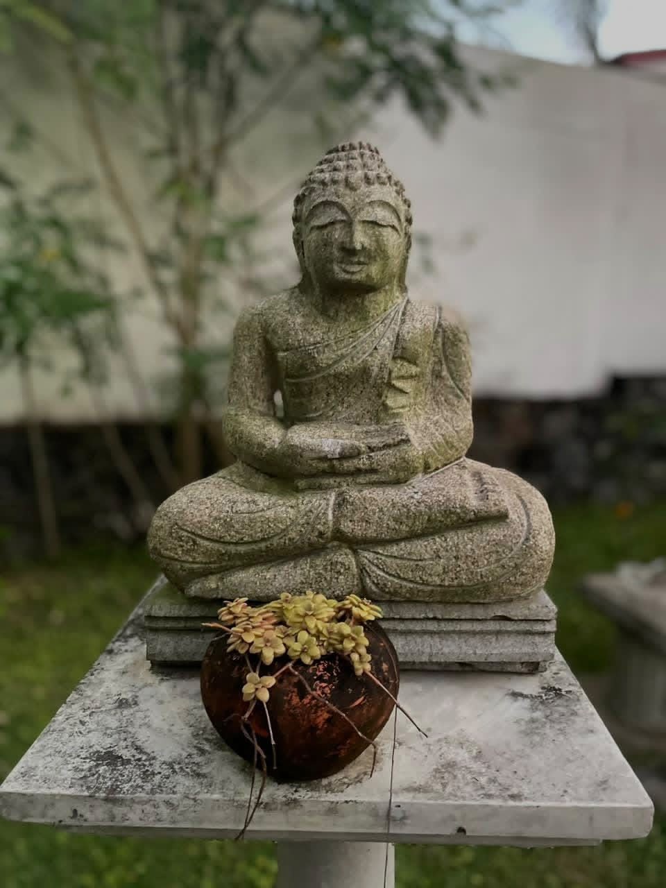 Stone Buddha Sanctuary